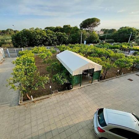 Appartamento Roccaforte Bi Rosso Trapani Eksteriør bilde